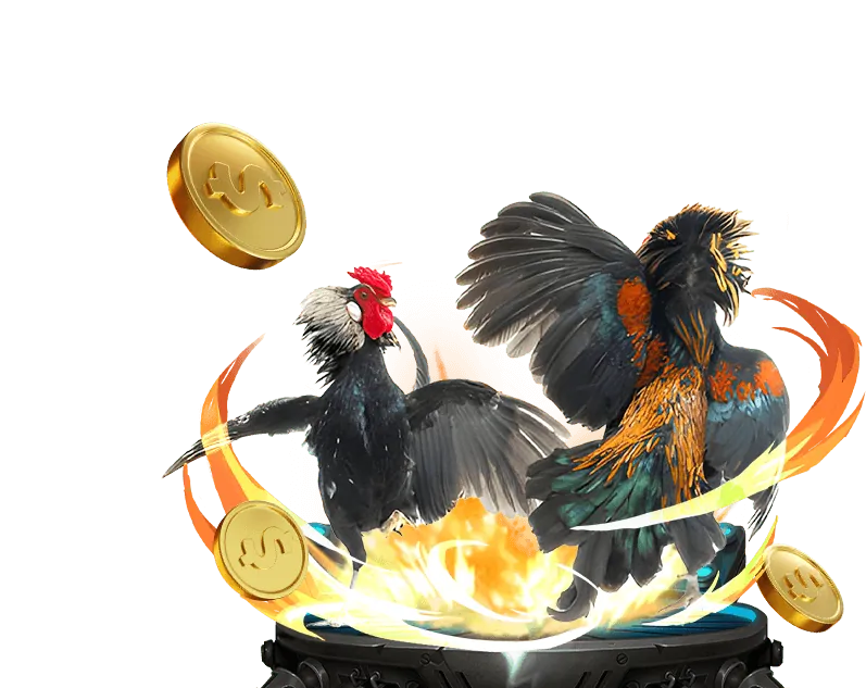 Hình ảnh minh họa nền tảng c33win an toàn với mã hóa dữ liệu